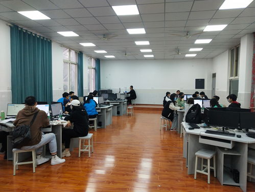 电子商务专业职高怎么样