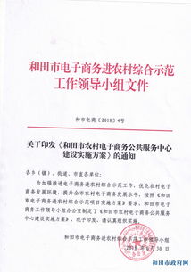 电子商务专业村建设方案