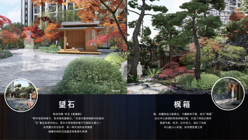 江岸区专业电子商务值得推荐