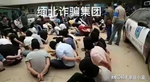 为何2025年了还有人被骗去缅甸